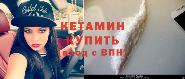шишки Карпинск