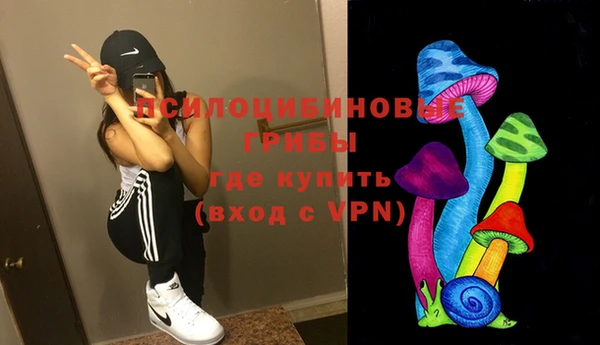 хмурый Козловка