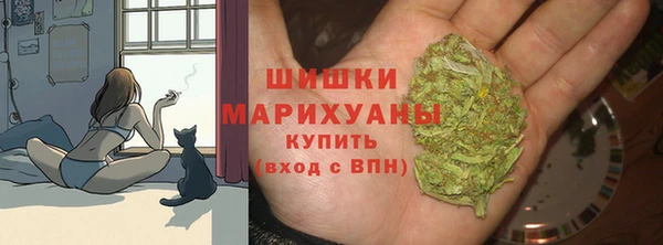 хмурый Козловка